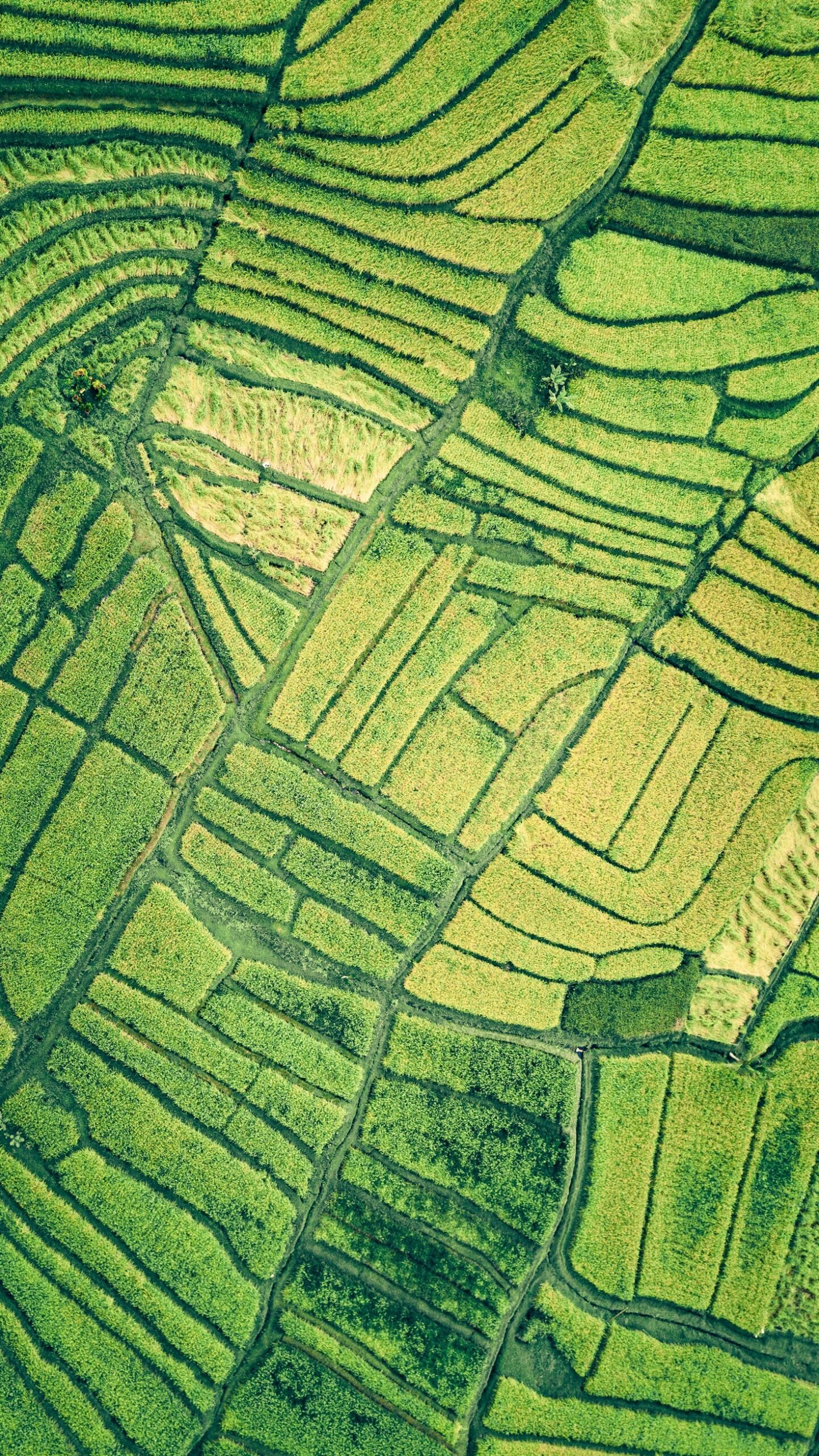 A importância de relatórios em estratégias de sustentabilidade