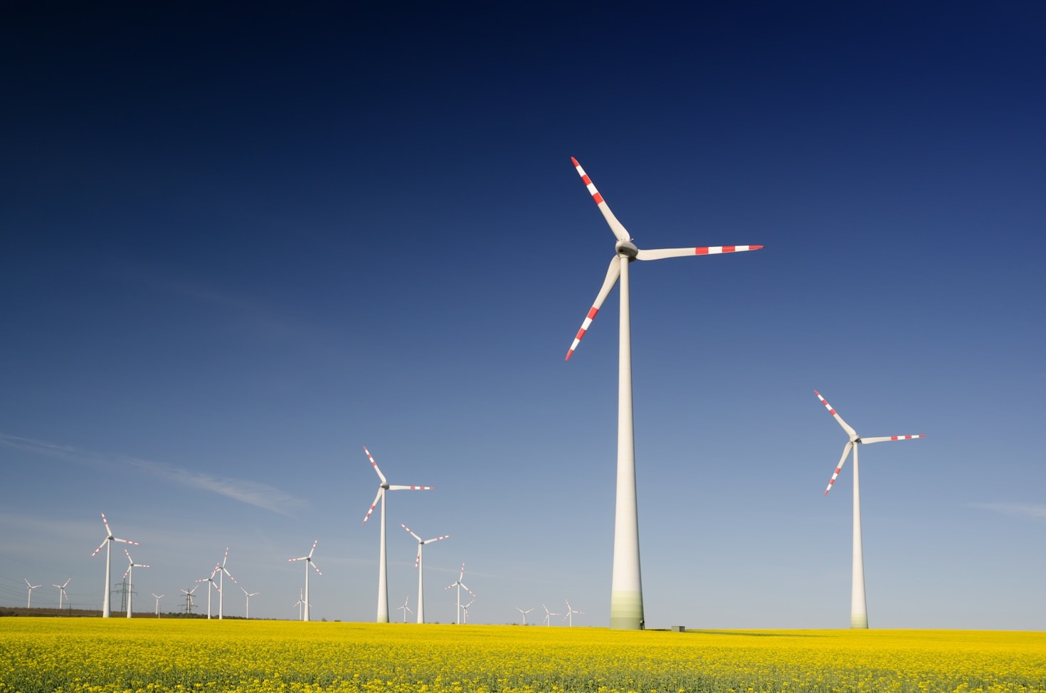 A parceria ideal para um futuro mais verde
